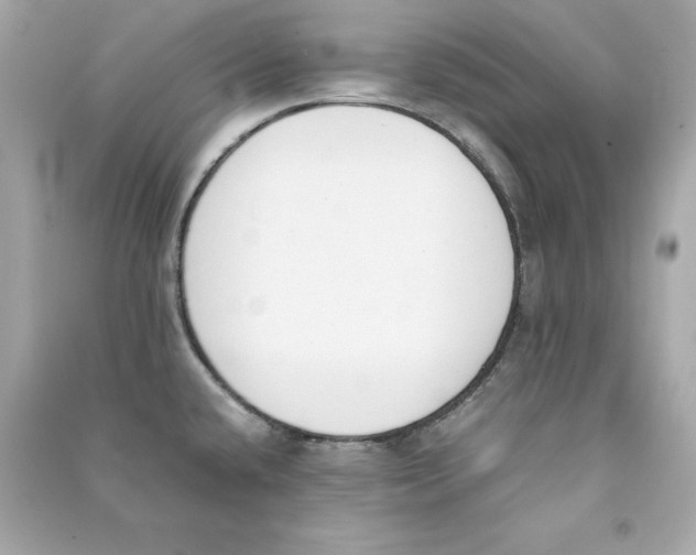 X0000090411432200708101909