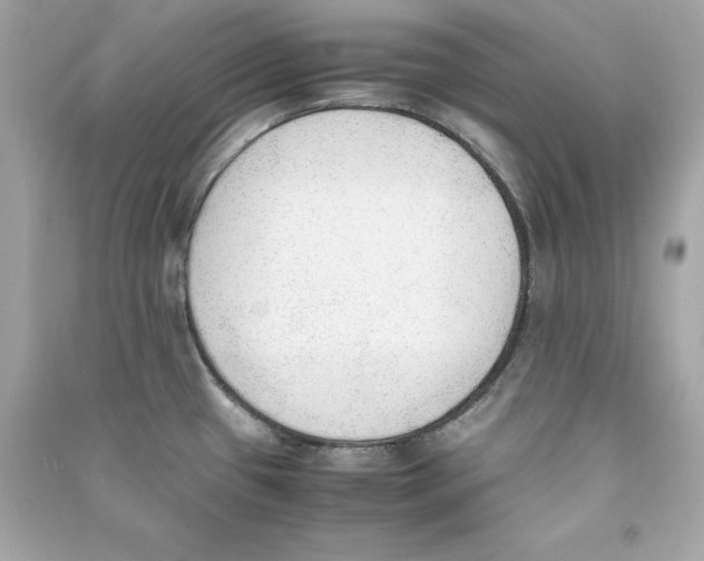 X0000090411433200708101909