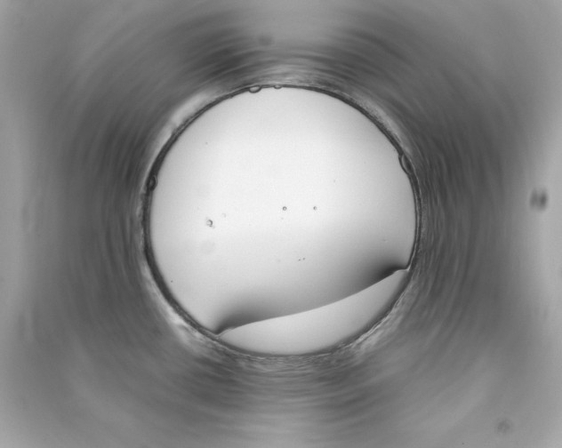 X0000090411434200708101909