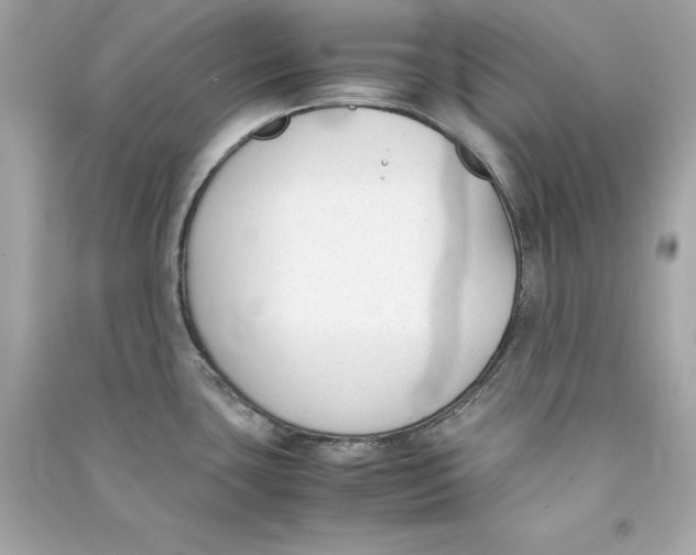 X0000090411435200708101909