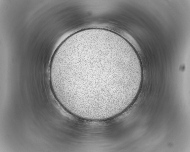 X0000090411436200708101909