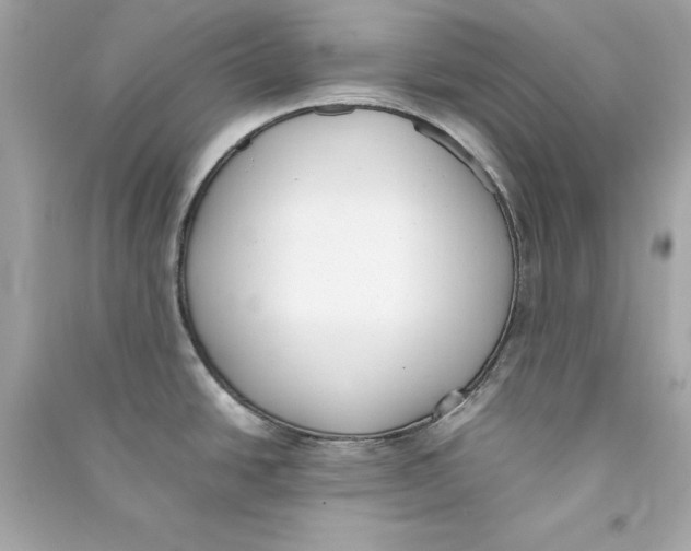 X0000090411438200708101910