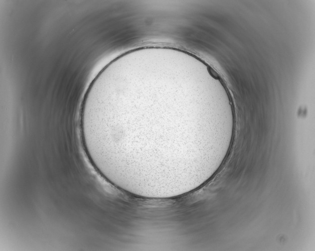 X0000090411440200708101910