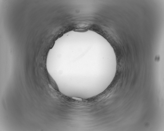 X0000090411441200708101909