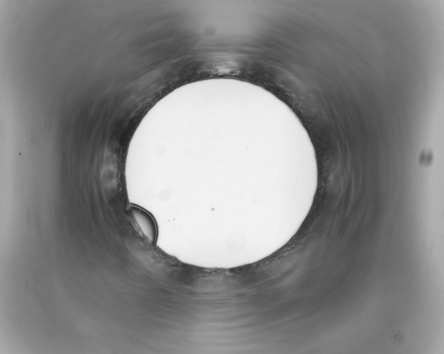 X0000090411442200708101909