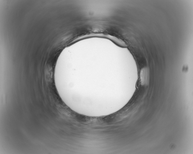 X0000090411443200708101909