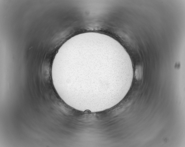 X0000090411444200708101909