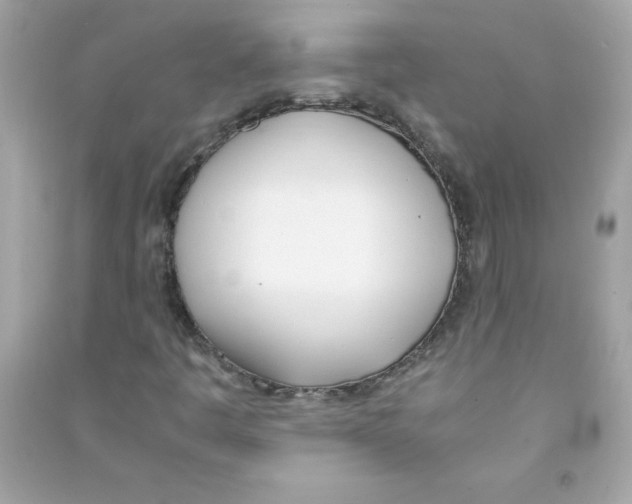 X0000090411445200708101909