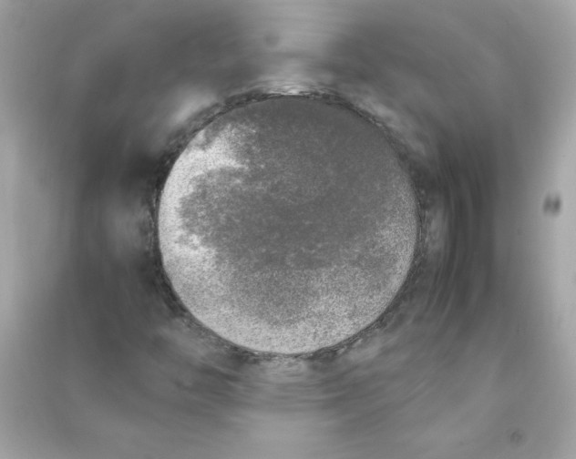 X0000090411446200708101909