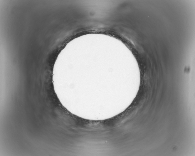 X0000090411447200708101909