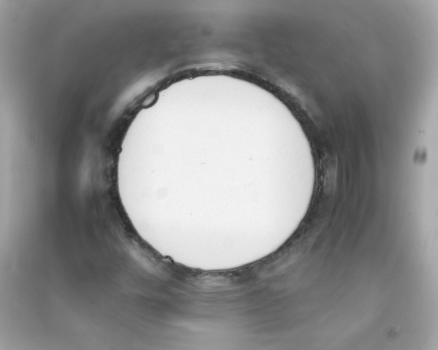 X0000090411448200708101909