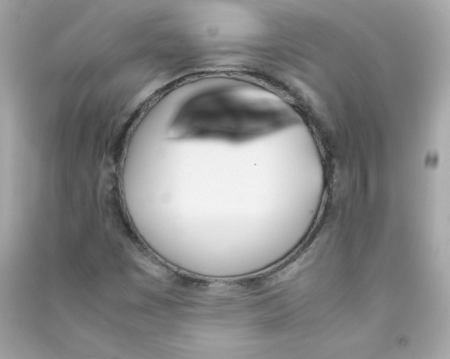 X0000090411449200708101909