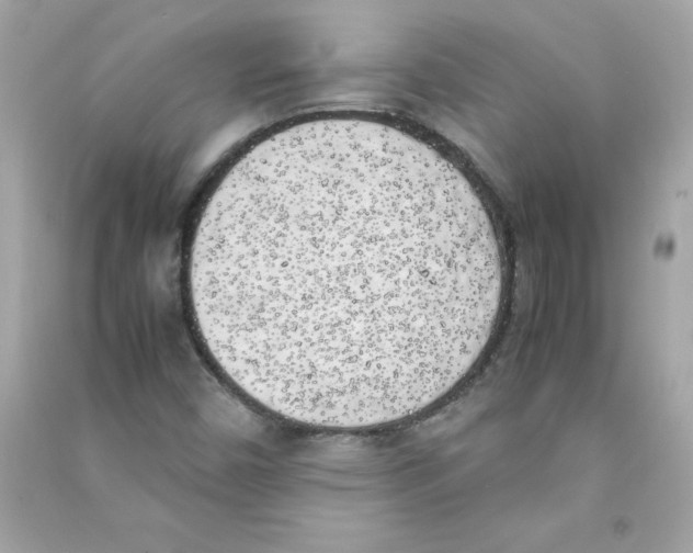 X0000090411450200708101909