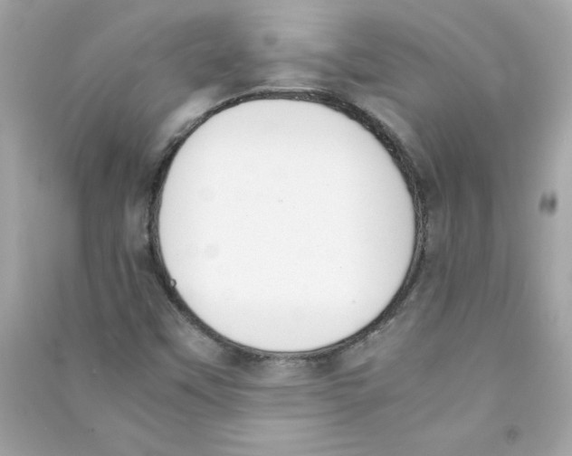 X0000090411451200708101909