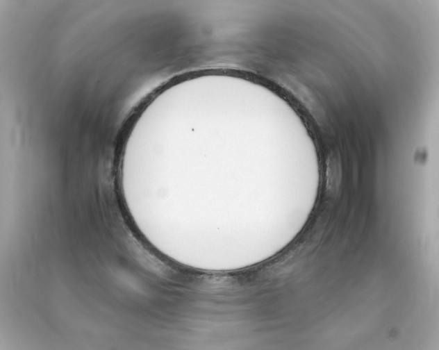 X0000090411452200708101909