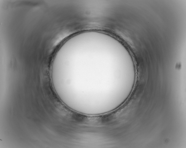 X0000090411453200708101909