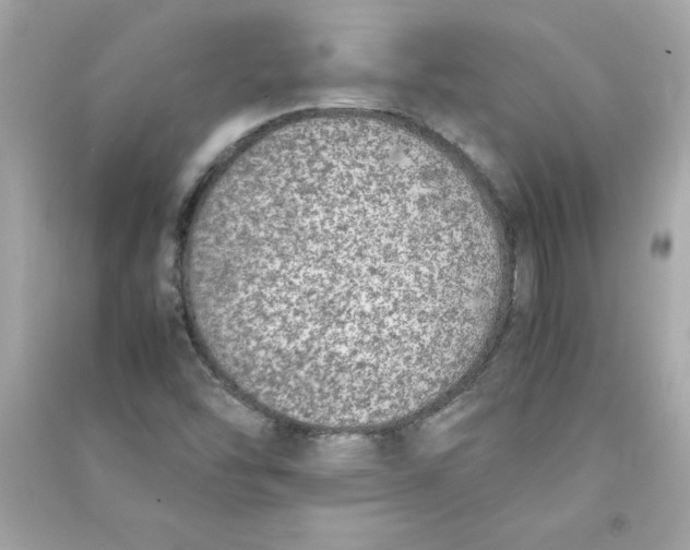 X0000090411454200708101909