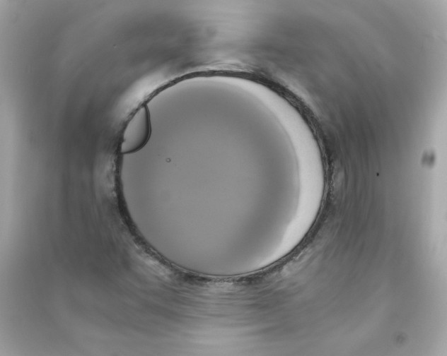 X0000090411455200708101909
