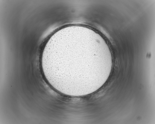 X0000090411456200708101909
