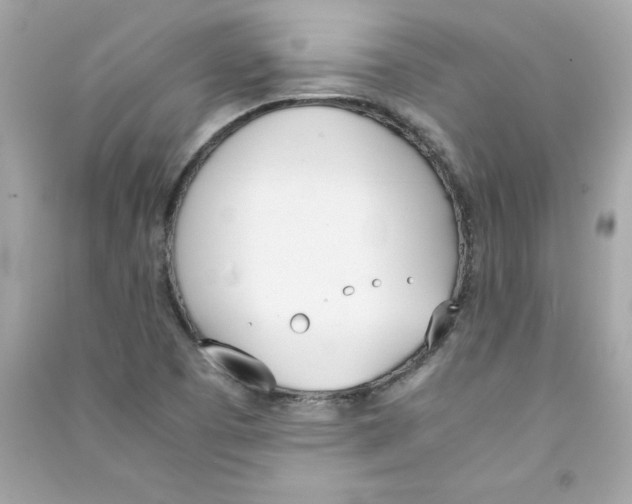 X0000090411457200708101909