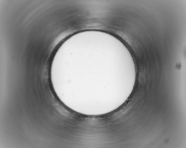 X0000090411458200708101909