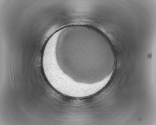 X0000090411459200708101909