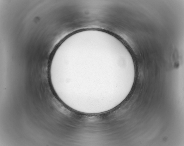 X0000090411460200708101909