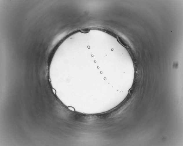 X0000090411461200708101909