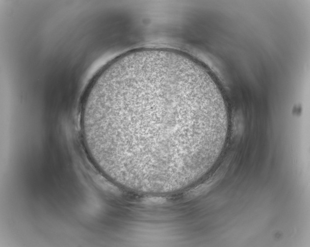 X0000090411462200708101909