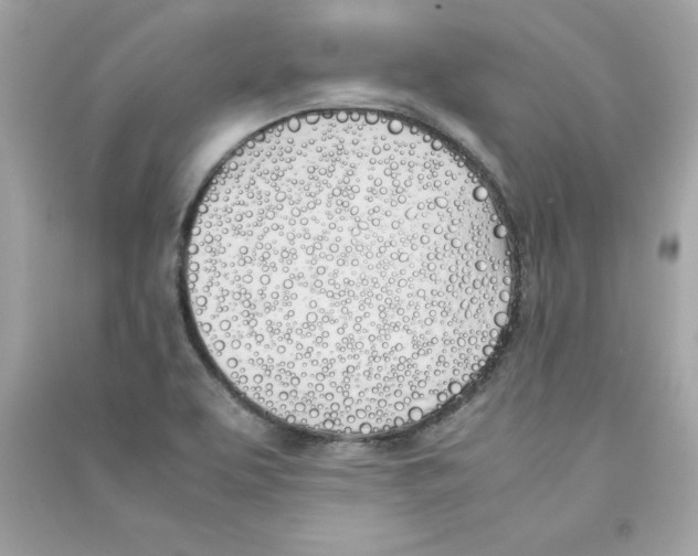 X0000090411463200708101909