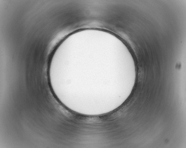 X0000090411464200708101909