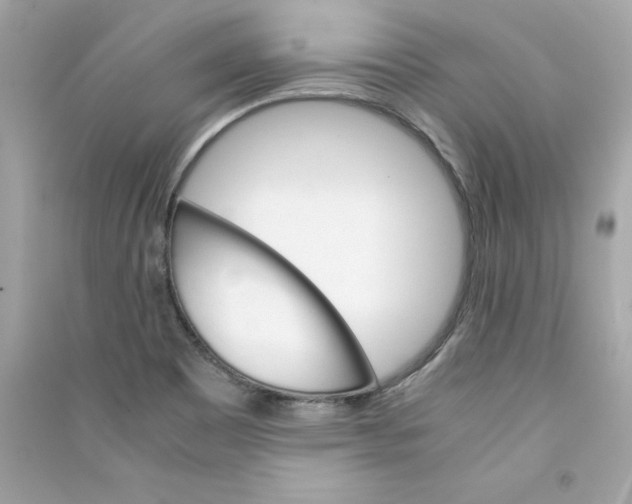 X0000090411465200708101909