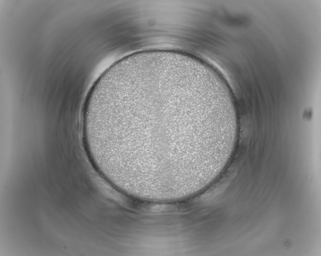 X0000090411467200708101909