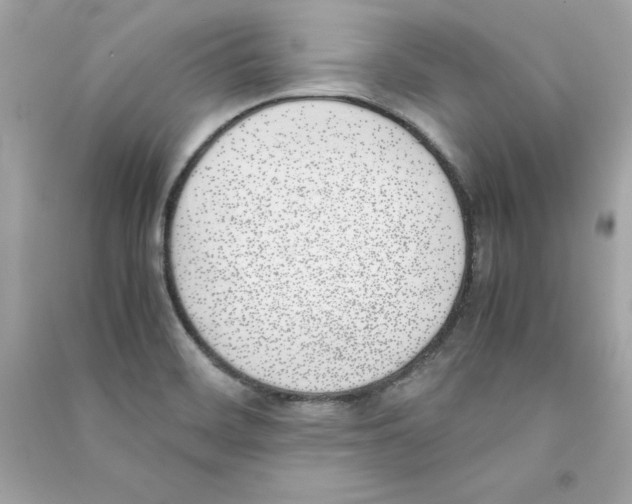 X0000090411468200708101909