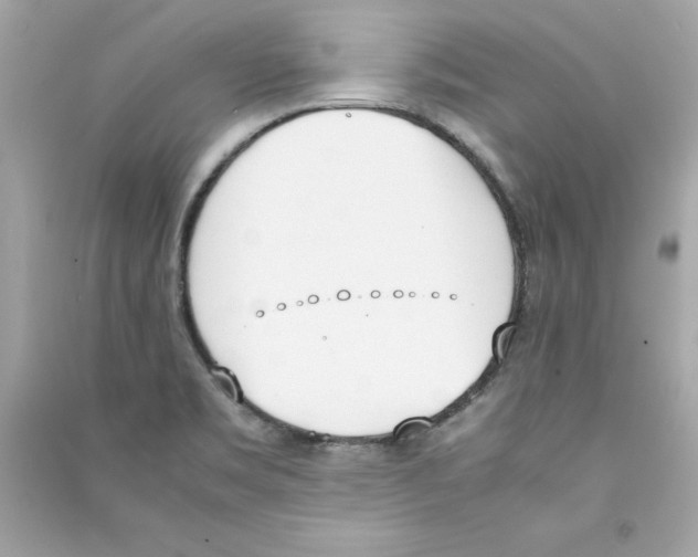 X0000090411469200708101908