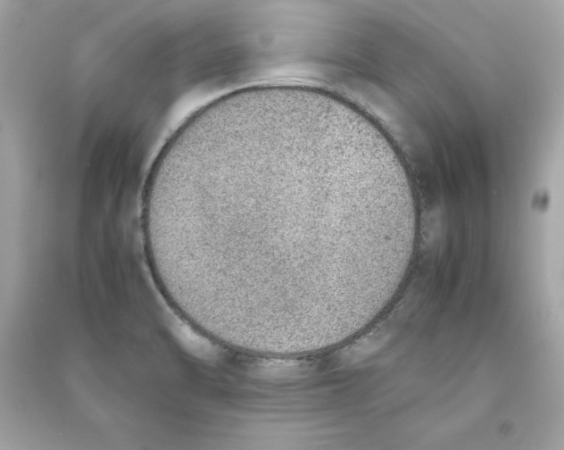 X0000090411470200708101908