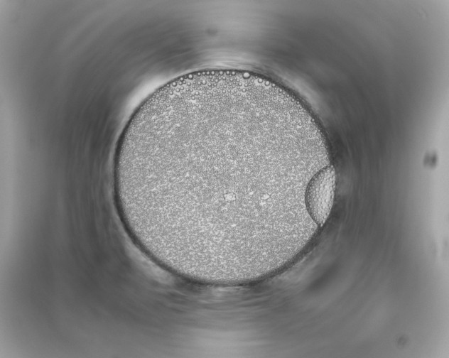 X0000090411471200708101908