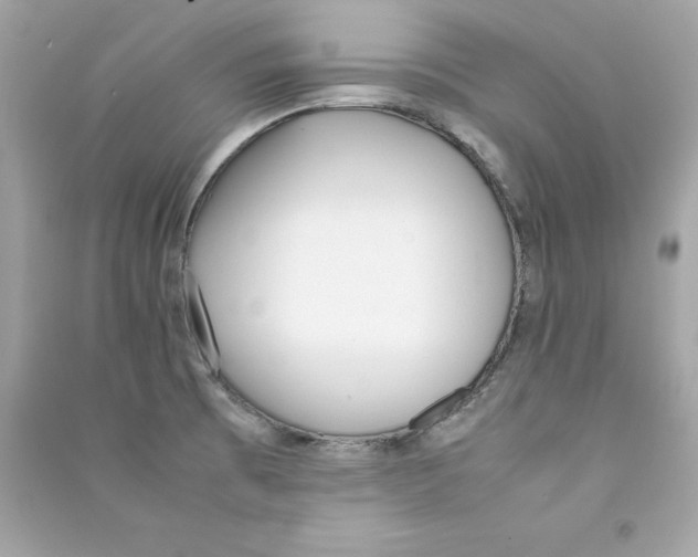 X0000090411473200708101908