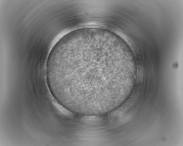 X0000090411474200708101908