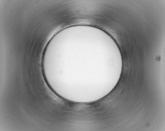 X0000090411475200708101908