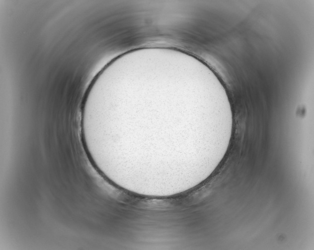X0000090411476200708101908