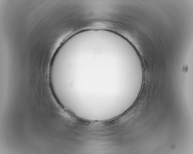 X0000090411477200708101908