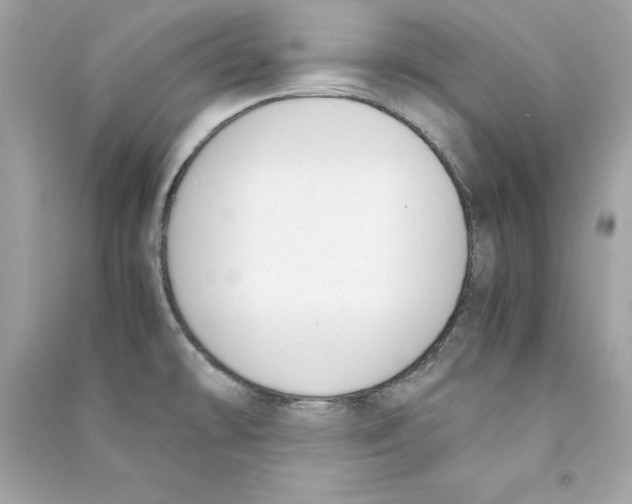 X0000090411478200708101908