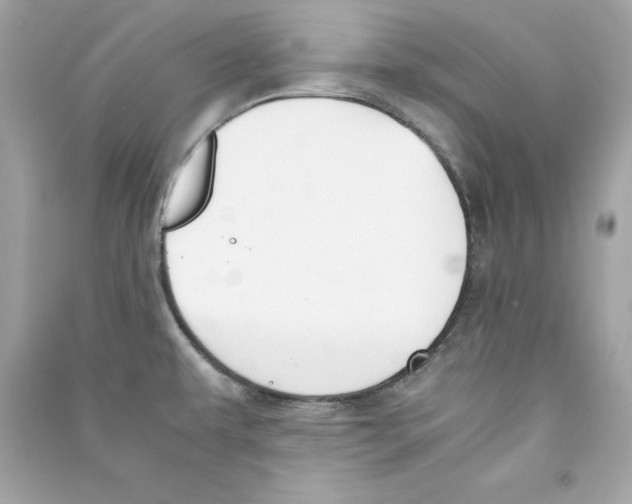 X0000090411479200708101908