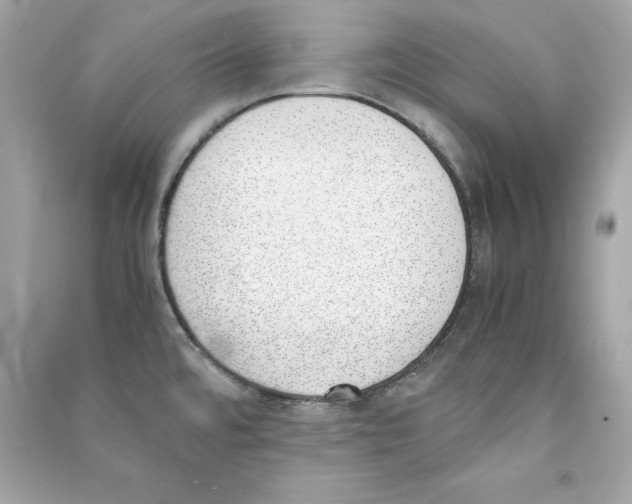 X0000090411480200708101908