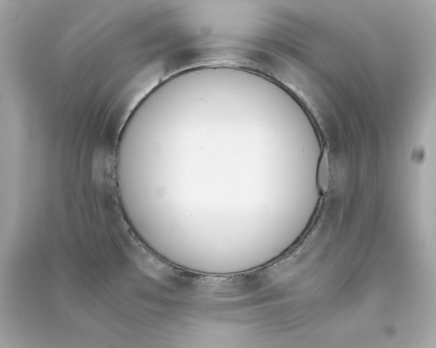 X0000090411481200708101908