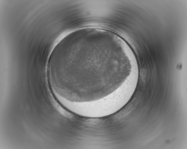 X0000090411482200708101908