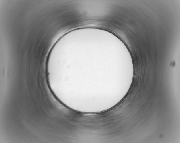 X0000090411483200708101908