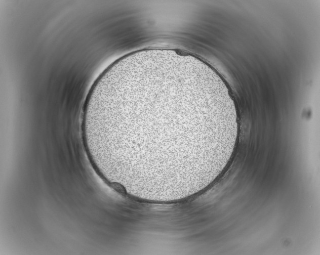 X0000090411484200708101908