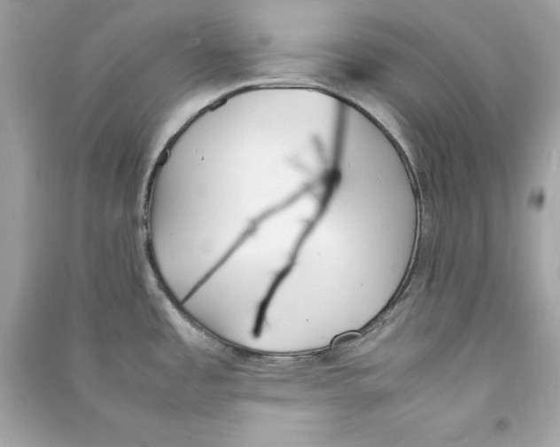 X0000090411485200708101908